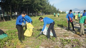 Hoạt động thanh niên làm sạch biển, bảo vệ môi trường tại Đà Nẵng