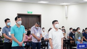 Đề nghị phạt cựu Đại tá Phùng Anh Lê 9-10 năm tù giam về tội nhận hối lộ