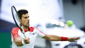 Novak Djokovic đang có phong độ cực cao ở Shanghai Masters