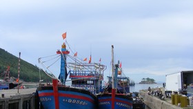 Nghệ An: Gần 56 tỷ đồng xây kè tránh bão cho tàu thuyền