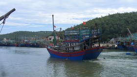 Tàu cá về cảng Lạch Quèn (huyện Quỳnh Lưu). Ảnh minh họa