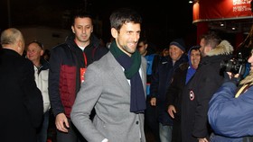 Novak Djokovic được các CĐV Red Star nhiệt liệt chào đón