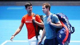 Djokovic và Murray là 2 người có rất nhiều hoạt động trên mạng xã hội để kêu gọi mọi người ở nhà và cách ly