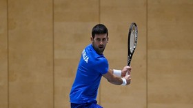 Djokovic tiếp tục ở lại với Davis Cup Finals