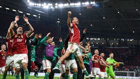 Niềm vui chiến thắng của tuyển Hungary