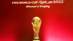 Bản quyền World Cup 2022 đang được cho là quá cao với thị trường truyền hình tại Việt Nam. Ảnh: FIFA