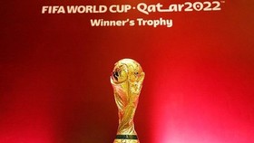Bản quyền truyền hình World Cup 2022 được đánh giá là chào quá cao tới các đơn vị ở Việt Nam với mức giá 15 triệu USD. Ảnh: FIFA