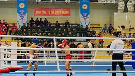 VĐV thi đấu kickboxing thi đấu với sự cổ vũ sôi nổi của khán giả trên nhà thi đấu. Ảnh: MINH CHIẾN