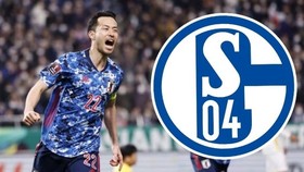 Maya Yoshida cập bến Schalke 04
