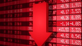 Investors holding FLC shares suffer heavy losses