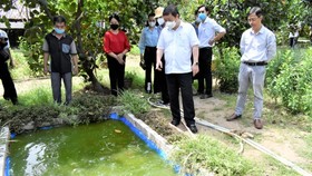 Dengue fever prevention work: people remain subjective, neglectful