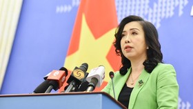 Vietnam wants relevant parties not to complicate Taiwan Strait situation