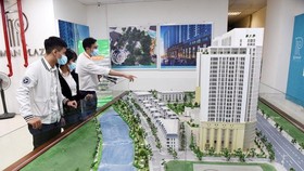 Laws need amending for real estate projects