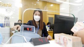 SBV’s rate hike necessary to defend VND, control inflation: ADB Country Director