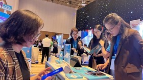 Digital platforms brought into life