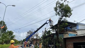 Electricity employees are clearing the corridors of power line routes in Quang Nam Province