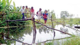Poor schooling in Mekong Delta worries Government