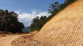Chủ đầu tư đã ngang nhiên san ủi, hủy hoại hơn 15ha rừng đặc dụng để làm đường