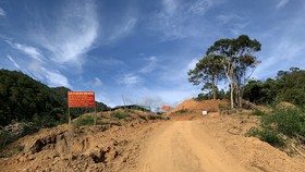 Phát hiện thêm nhiều diện tích rừng bị phá để làm đường Trường Sơn Đông 