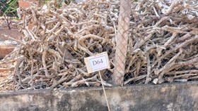Đắk Lắk: Làm rõ việc “cò” đất cắm bảng quy hoạch giả để trục lợi