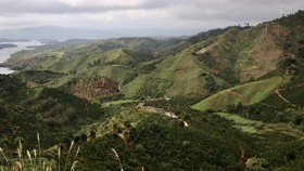 Vụ mất hơn 2000ha rừng ở Đắk Nông: Chỉ yêu cầu “kiểm điểm rút kinh nghiệm”