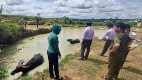 Đắk Lắk: Hai cháu nhỏ đuối nước thương tâm