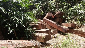Hơn 30 khối gỗ bị phát hiện