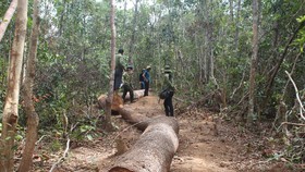 Một xã để mất 850ha rừng, chi sai gần 1 tỷ đồng