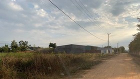 Kon Tum: Khởi tố nguyên Chủ tịch UBND huyện vì vi phạm quản lý đất đai