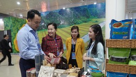 Sản phẩm du lịch của TP Đà Nẵng. Ảnh: XUÂN QUỲNH