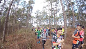 Giải siêu marathon quốc tế Dalat Ultra Trail năm 2018. Ảnh: GIA QUẢNG