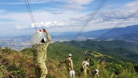 Vác từng can nước lên núi để bảo vệ đường dây 500kV qua Thừa Thiên - Huế