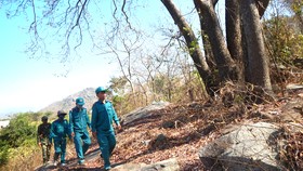 Những người lính áo xanh giữ rừng