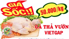 Giá Sốc Gà thả vườn VietGAP 50.000 đồng/kg