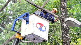 Nhân viên Công ty TNHH MTV Công viên cây xanh TPHCM mé nhánh cây trên đường Tô Hiến Thành, quận 10. Ảnh: NGUYỄN NHÂN