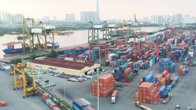 15 hãng tàu biển chấp nhận xử lý container hàng tồn
