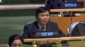 Đại sứ Đặng Đình Quý, Trưởng Phái đoàn Việt Nam tại LHQ. Ảnh: TTXVN