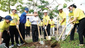 Lãnh đạo tỉnh Sóc Trăng, Tổng công ty Điện lực miền Nam tham gia trồng cây tại thị xã Ngã Năm