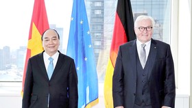 Chủ tịch nước Nguyễn Xuân Phúc gặp Tổng thống Đức Frank-Walter Steinmeier. Ảnh: TTXVN