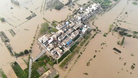 Ngập lụt lịch sử ở nhiều tỉnh của Trung Quốc ảnh hưởng nghiêm trọng đến sản lượng lương thực