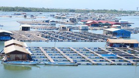 Bà Rịa – Vũng Tàu: Kêu gọi tiêu thụ thủy sản cho người dân vùng bị giải tỏa