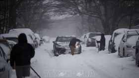 Ô tô bị mắc kẹt do tuyết rơi dày đặc tại New York, Mỹ vào đầu năm 2021. Ảnh: THX/TTXVN
