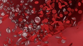 Mối liên hệ giữa nhóm máu và nguy cơ bệnh nặng khi mắc Covid-19