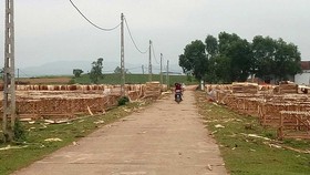 Khu TĐC Quỳnh Thắng (Quỳnh Lưu, Nghệ An) trở thành nơi tập kết, phơi gỗ nguyên liệu của người dân địa phương. Ảnh: DUY CƯỜNG