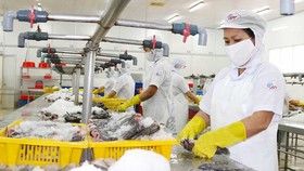 Nhóm hàng thủy hải sản của Việt Nam xuất khẩu vào EU có mức tăng trưởng vượt bậc. Ảnh: HOÀNG HÙNG