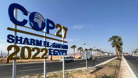 Hội nghị COP27 thu hút sự quan tâm của cộng đồng quốc tế
