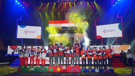 Tại SEA Games 30, Việt Nam đã giành được tấm HCĐ bộ môn Liên Quân Mobile. Ảnh: LIENQUAN GARENA