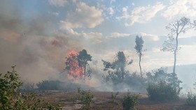 Khu vực cháy là rừng tự nhiên, địa hình ít nguồn nước nên việc chữa cháy gặp nhiều khó khăn