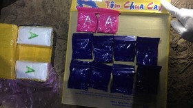 Bắt giữ đối tượng từ Lào vận chuyển 6.000 viên ma túy vào biên giới