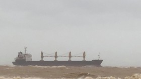 Một tàu hàng cùng 20 thuyền viên mắc cạn trên vùng biển Quảng Trị